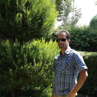 Reza Shirani's Photo