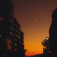 Zdjęcia użytkownika Habiba Mostafa