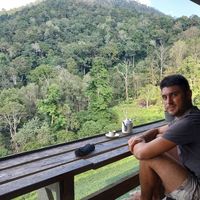 vincent mazzarella的照片