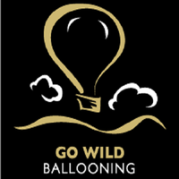 Go Wild Ballooning's Photo