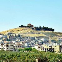 Mohamed Saleh's Photo