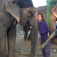 Fotos von Marcela Colmenare