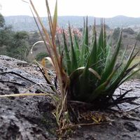 Photos de Ydelyza Reye