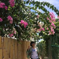 Yuka Kato's Photo