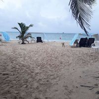 Janeth Moises的照片