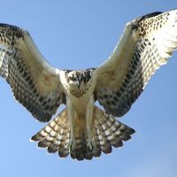 Yendry Castillo's Photo