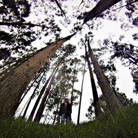 Camilo Ramirez's Photo