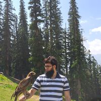 Shoaib Saleem的照片