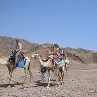 Houssam Ahmed's Photo