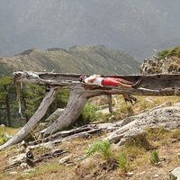 Seba Chancerelle's Photo