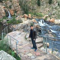 Sher Seehar的照片