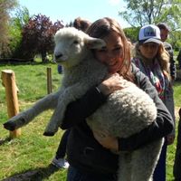 Le foto di Amelie Denk