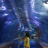 Rocio Valle的照片