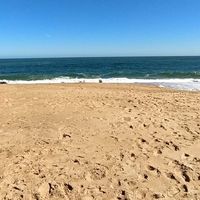 Nicolas Reboledo's Photo