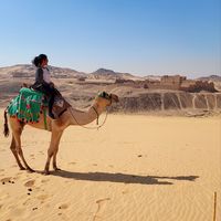 Fotos de Shalini W R