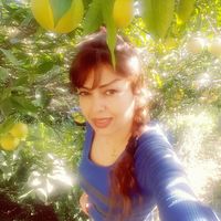 Afsoon Ashayeri的照片