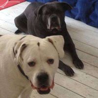 Anil Santokhi's Photo