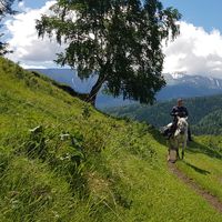 Eric Yericov的照片