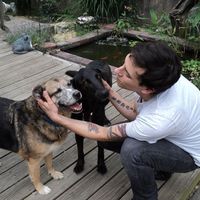 Michael Long的照片