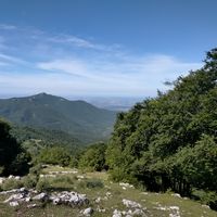 David Proietti's Photo