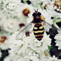 Debora Pineiro's Photo