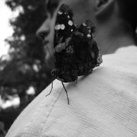 Фотографии пользователя Christoph Schulze