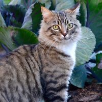 Sabrina Shirley-eggleston's Photo