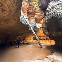 Chris Buckley的照片