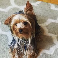 Le foto di Kari Schooler