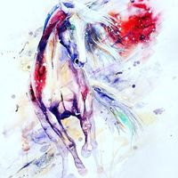 Selma Amanzougaren's Photo