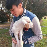 Fotos von Eng Jia Jie