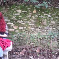 Laura Cano García's Photo