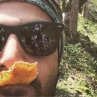 Sourosh Mosavi的照片