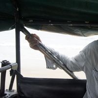 Adam Roszyk的照片