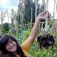 Camille Bacot's Photo