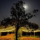 ایونت ماه کامل's picture