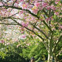 Rosaline Nancy K's Photo