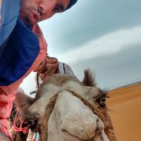 Daniel Martinez Vilas的照片