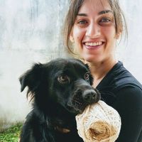 Jaqueline  Orlando's Photo