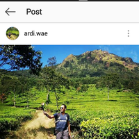 Ardi  Wae's Photo