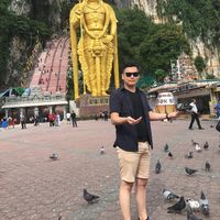 Wilson Wilson的照片