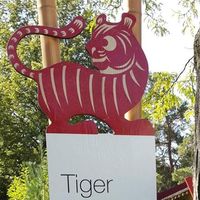 Photos de Mike Figueroa