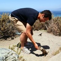 Marcos Garcia的照片