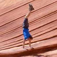 Le foto di Tyler Collier