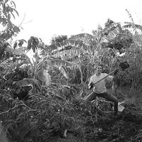 Sarah Mercier's Photo