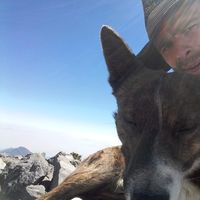 Franz Blattner's Photo