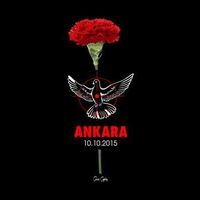 Zülfü Salacan's Photo