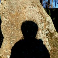 Sara Moreira的照片