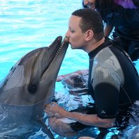 Hassan El Sinbawy's Photo