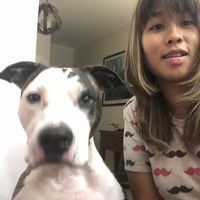 ein  wieligmans的照片